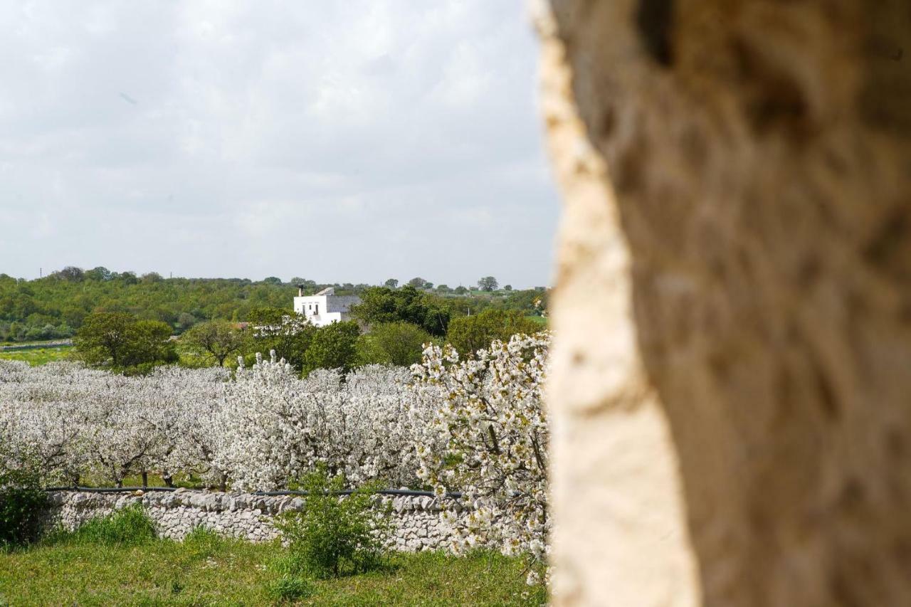 Masseria Guadiano Vecchio Santa Lucia  Exterior photo